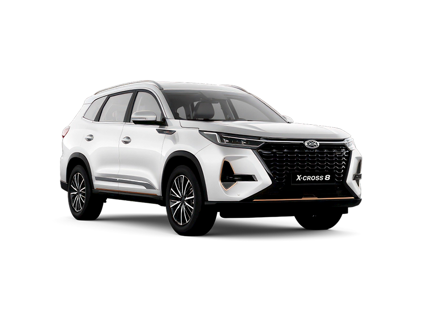x-cross-8