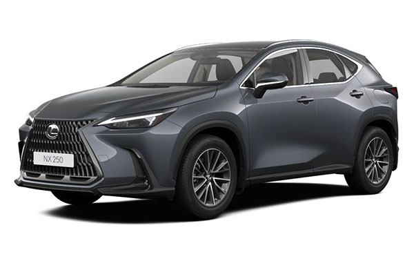 NX