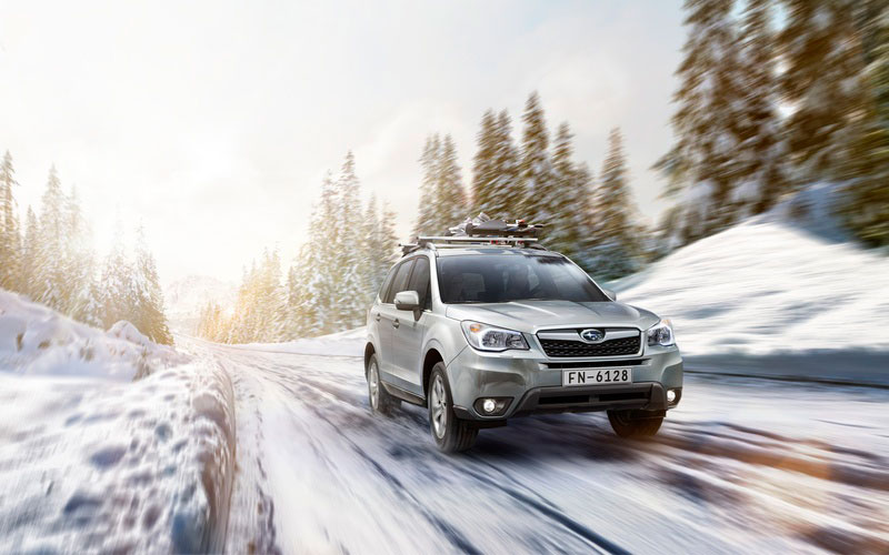 forester.jpg