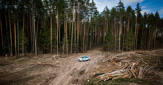 kodiaq-news-15.jpg